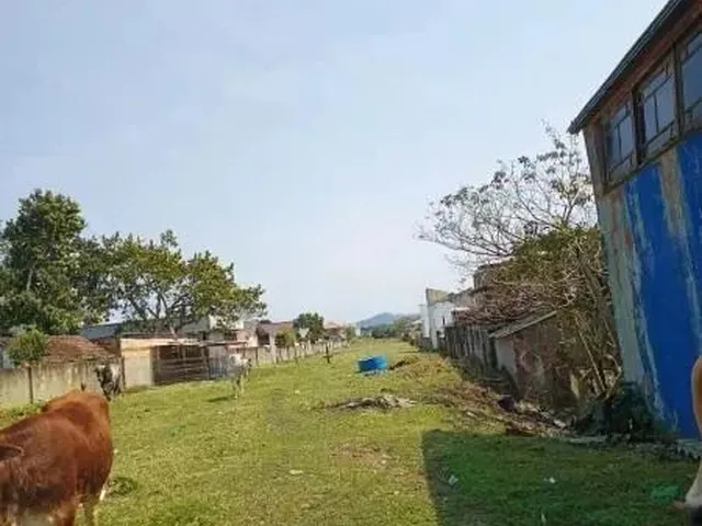 Imagem 15: Terreno - Florianópolis Sc