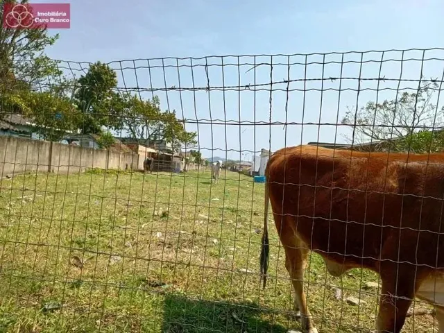 Imagem 10: Terreno - Florianópolis Sc