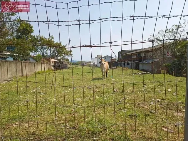 Imagem 9: Terreno - Florianópolis Sc