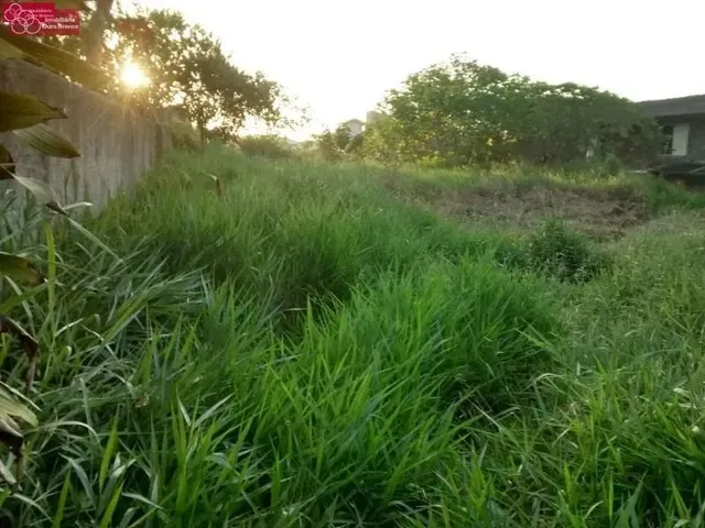 Imagem 4: Terreno - Florianópolis Sc