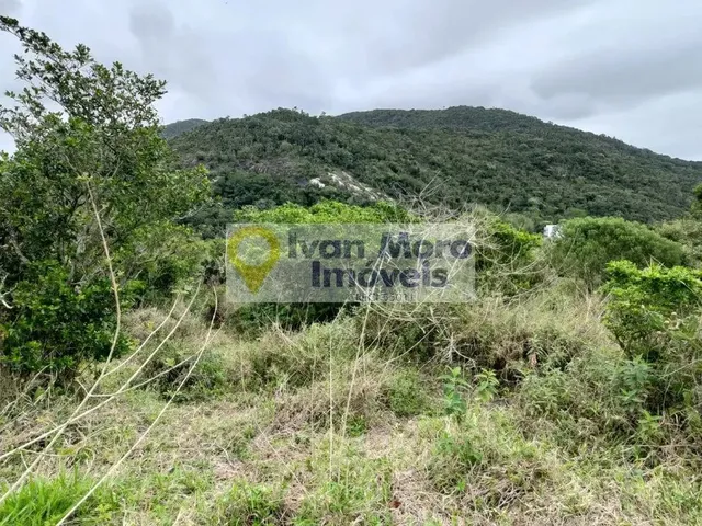 Imagem 9: Terreno À Venda em Ingleses do Rio Vermelho - Florianópolis - Sc