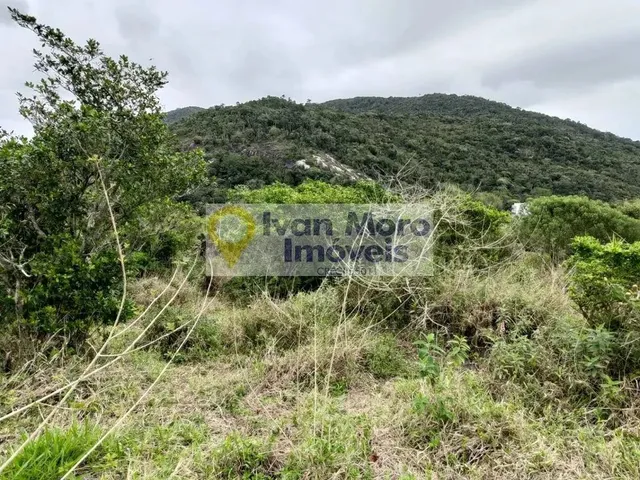 Imagem 5: Terreno À Venda em Ingleses do Rio Vermelho - Florianópolis - Sc