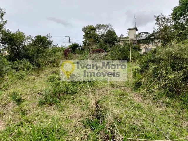 Imagem 4: Terreno À Venda em Ingleses do Rio Vermelho - Florianópolis - Sc