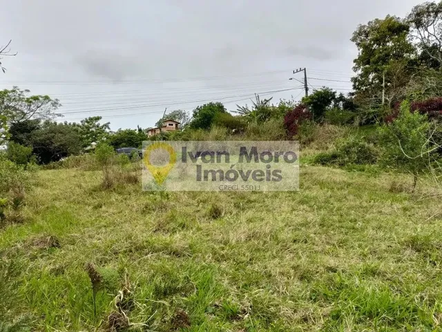 Imagem 10: Terreno À Venda em Ingleses do Rio Vermelho - Florianópolis - Sc