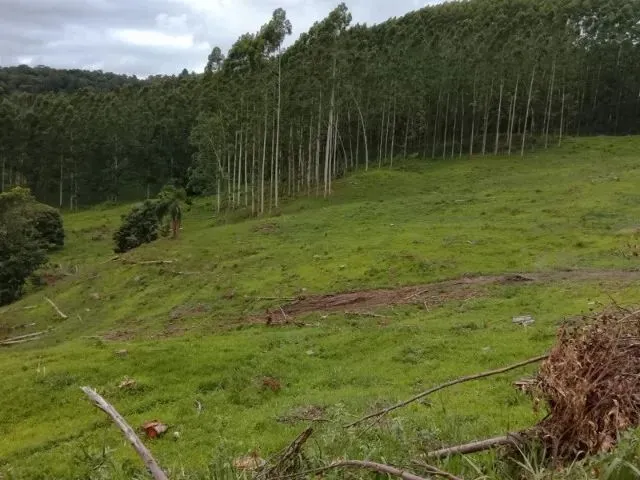 Imagem: Sitio