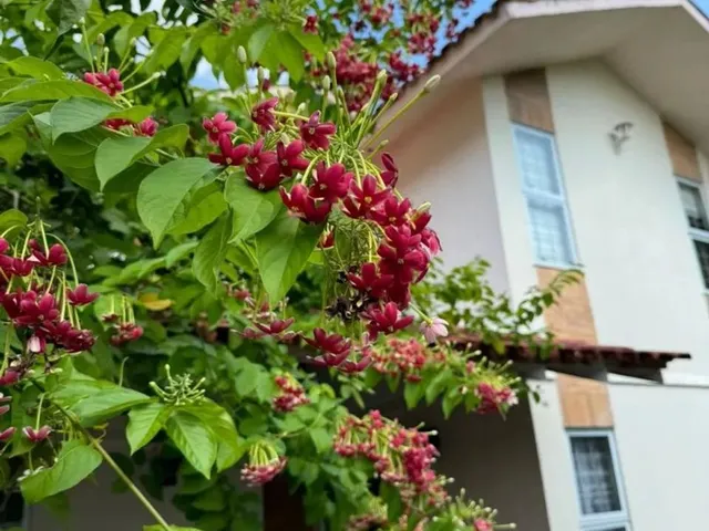 Imagem 7: Casa Duplex 4Qtos Sendo 3 Suítes| Cd Fechado| com Área Externa