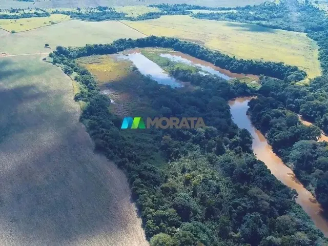Imagem: Fazenda À Venda - 4.665 Hectares - Região
