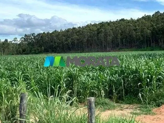 Imagem: Fazenda À Venda - 1.456 Hectares - Região