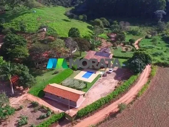 Imagem: Fazenda Empresa - Região Viçosa (Mg
