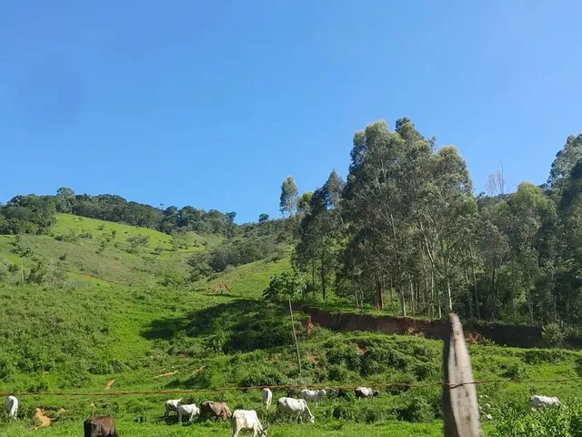 Imagem: Vendo Área Rural em Excelente Localização