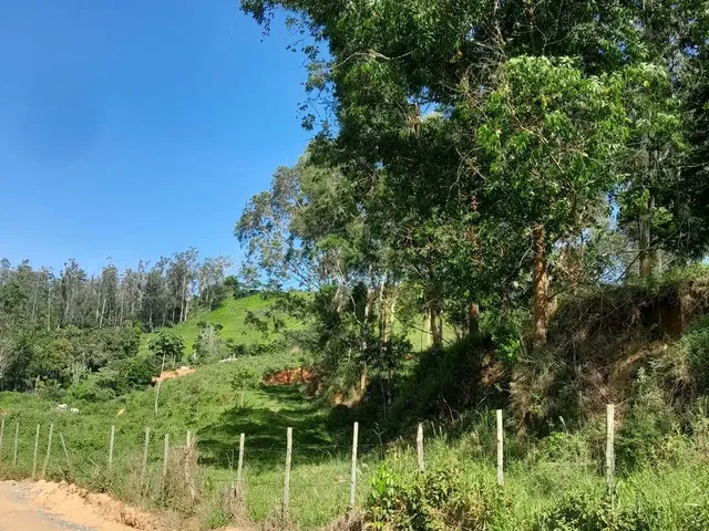 Imagem 7: Vendo Área Rural em Excelente Localização