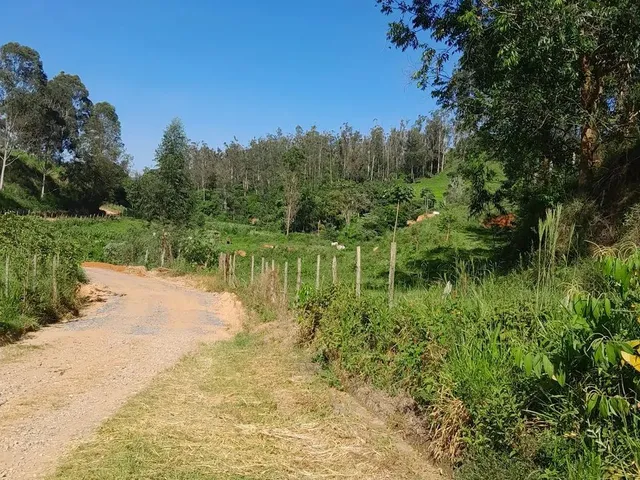Imagem 8: Vendo Área Rural em Excelente Localização
