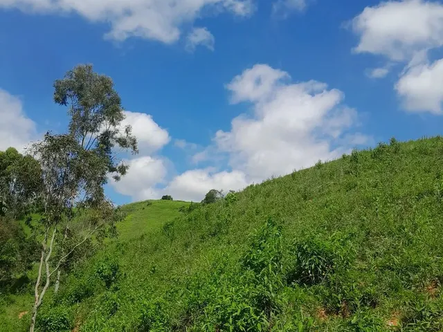 Imagem 9: Vendo Área Rural em Excelente Localização