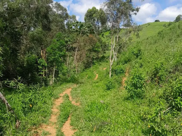 Imagem 10: Vendo Área Rural em Excelente Localização