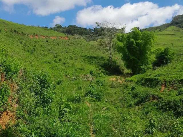 Imagem 11: Vendo Área Rural em Excelente Localização