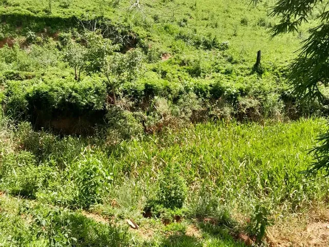 Imagem 12: Vendo Área Rural em Excelente Localização