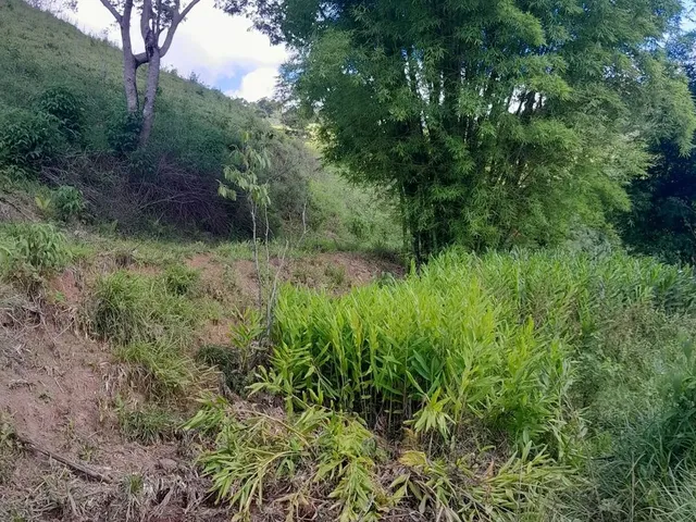 Imagem 13: Vendo Área Rural em Excelente Localização