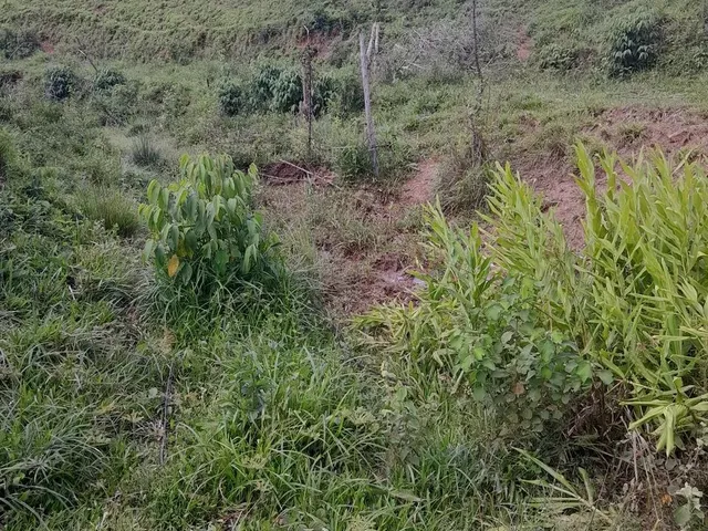 Imagem 14: Vendo Área Rural em Excelente Localização