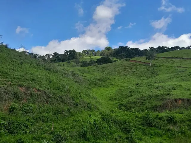 Imagem 16: Vendo Área Rural em Excelente Localização