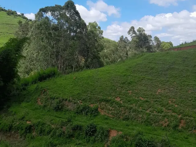 Imagem 2: Vendo Área Rural em Excelente Localização