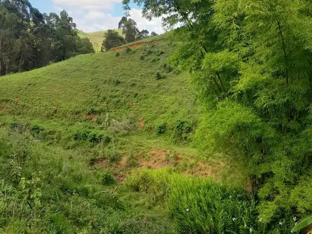 Imagem 3: Vendo Área Rural em Excelente Localização
