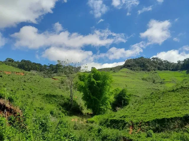 Imagem 4: Vendo Área Rural em Excelente Localização