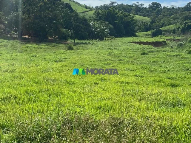 Imagem: Fazenda À Venda - 135 Hectares - Rio Casca