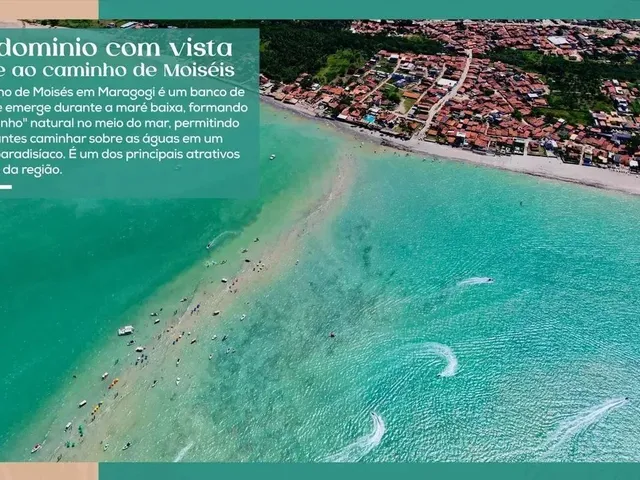 Imagem 5: Maragogi - Lotes para Construção com Projeto Incluso a Partir de 289 M² em Condomínio