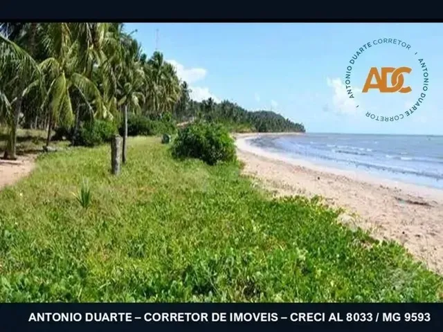 Imagem 12: Adc - Japaratinga Excepcional Terreno do Litoral de Alagoas