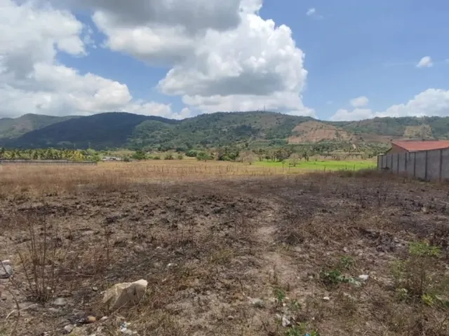 Imagem 1: Terreno Plano 640M² - Oportunidade! Aceito Proposta! Troca ! União dos Palmares