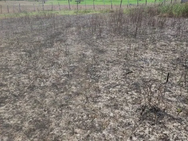 Imagem 4: Terreno Plano 640M² - Oportunidade! Aceito Proposta! Troca ! União dos Palmares