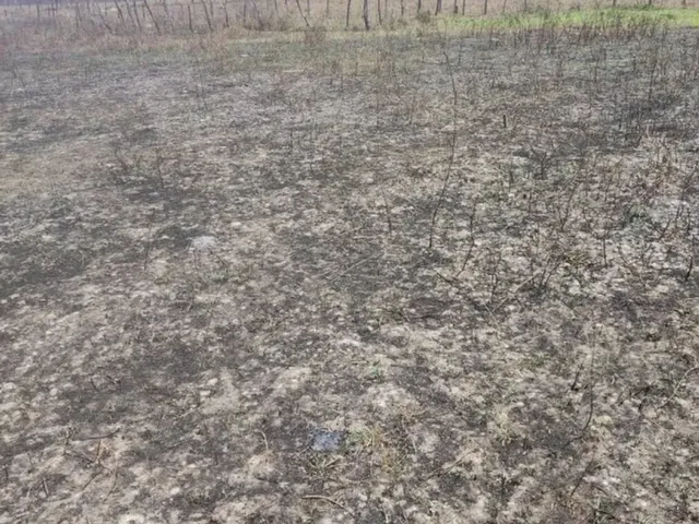 Imagem 3: Terreno Plano 640M² - Oportunidade! Aceito Proposta! Troca ! União dos Palmares