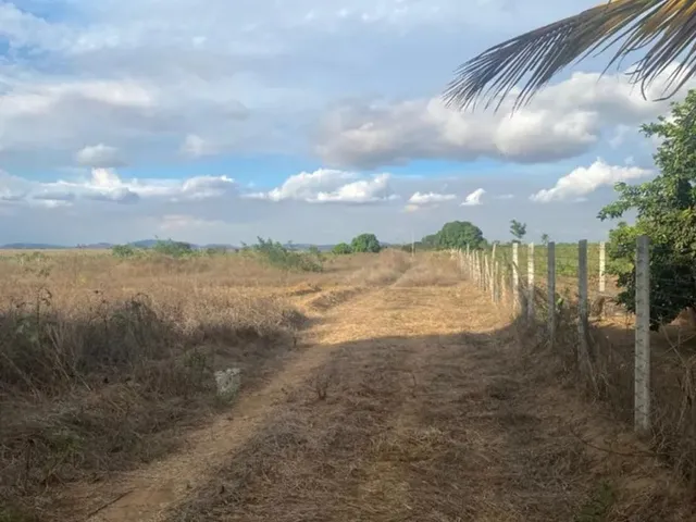 Imagem: Vendo Lotes / Mini Chácaras - Arapiraca/Al