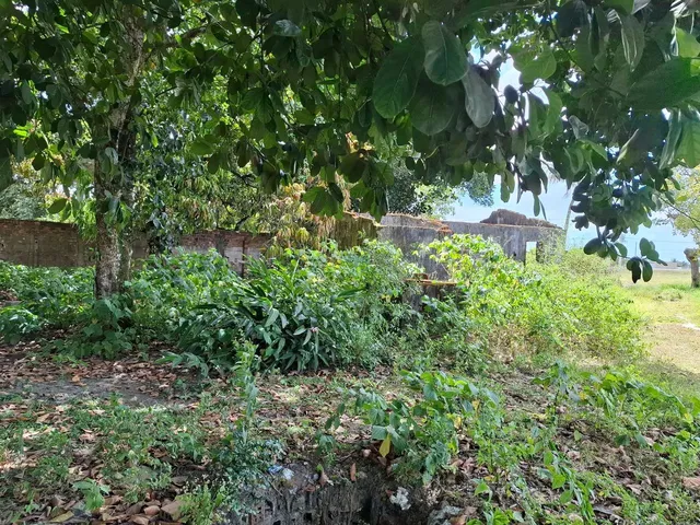 Imagem: Ótimo Terreno em Rio Largo