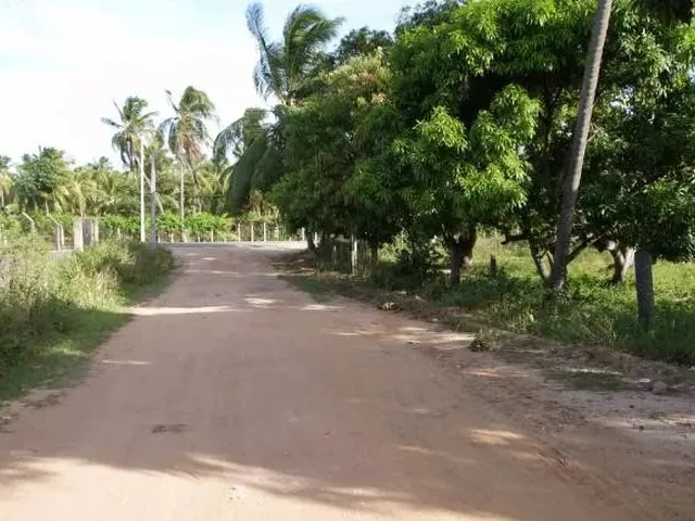 Imagem: Lote a Venda no Loteamento Mar Azul - Paripueira