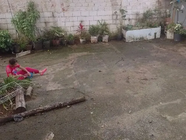 Imagem: Venda Sítio