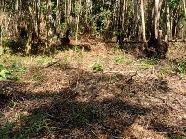Imagem: Sitio Taiacupeba com 20Mil M2 Escritura