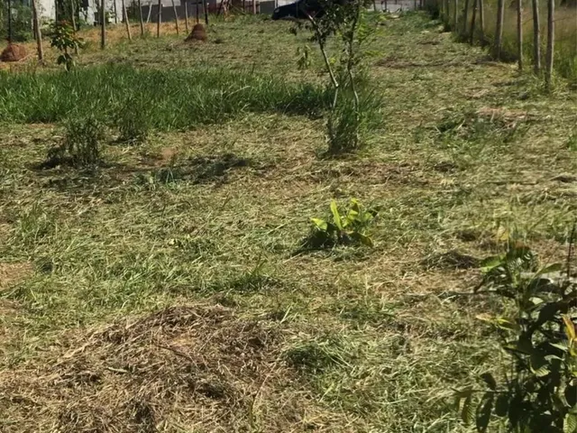Imagem: Terreno À Venda em Mogi das Cruzes Campo