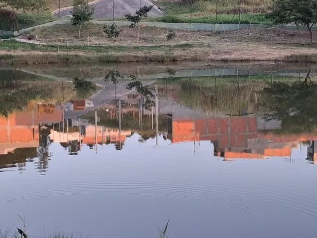 Imagem 3: .