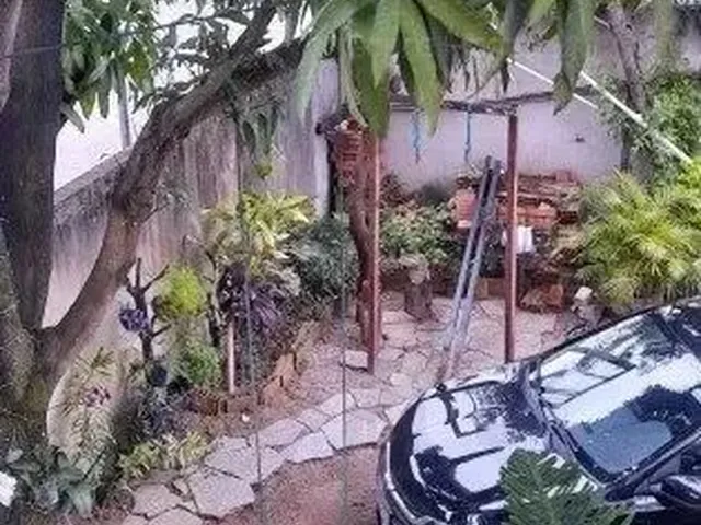 Imagem 11: Casa 5 Quartos em Jardim Colorado