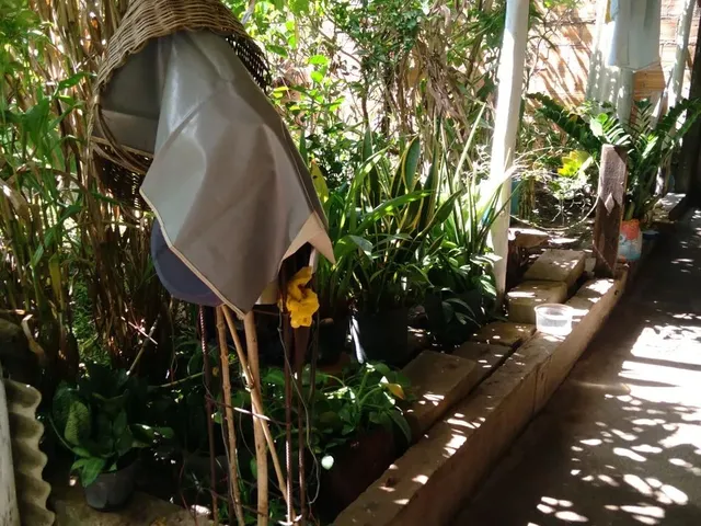 Imagem 1: Vende Se Lote com Casa Simples
