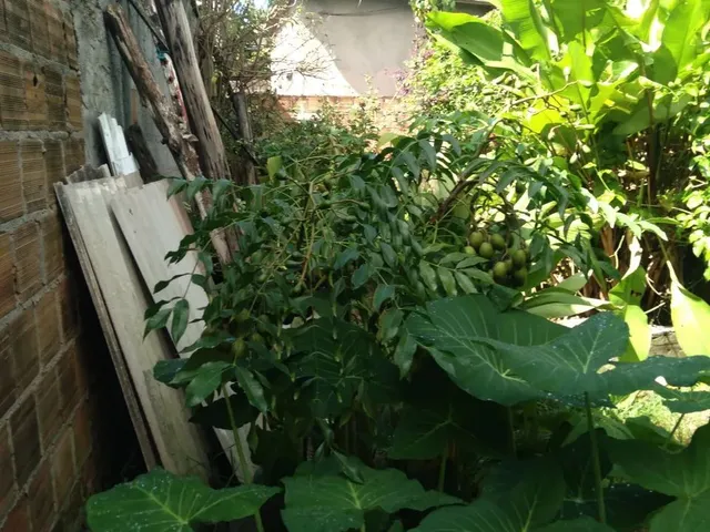 Imagem 5: Vende Se Lote com Casa Simples