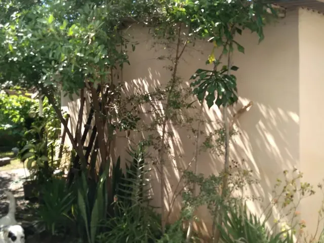 Imagem 7: Vende Se Lote com Casa Simples