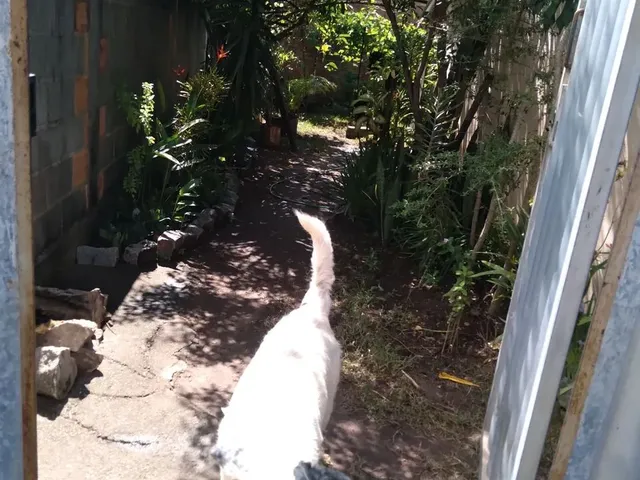 Imagem 8: Vende Se Lote com Casa Simples
