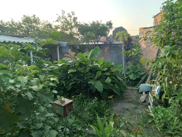 Imagem 13: Vende Se Lote com Casa Simples