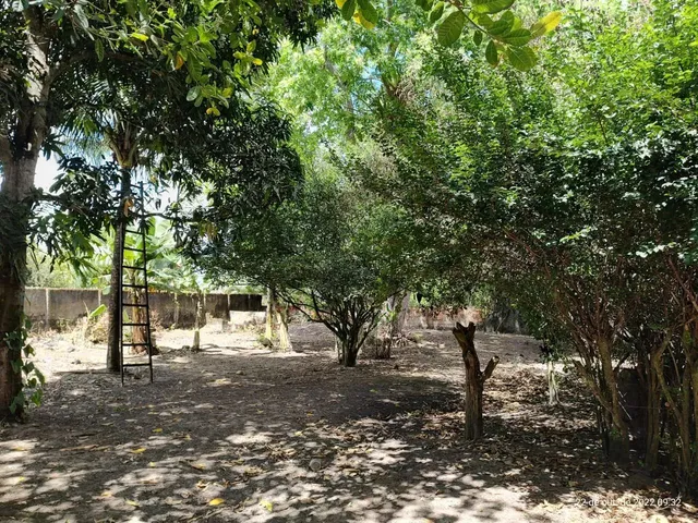 Imagem 5: Vendo Chácara no Centro de Conceição do Jacuipe