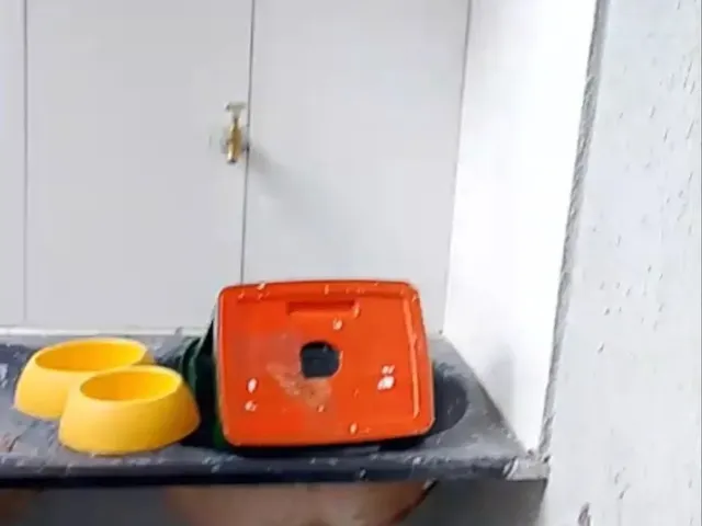 Imagem 3: Alugo Casa 3 Quartos Coophamil