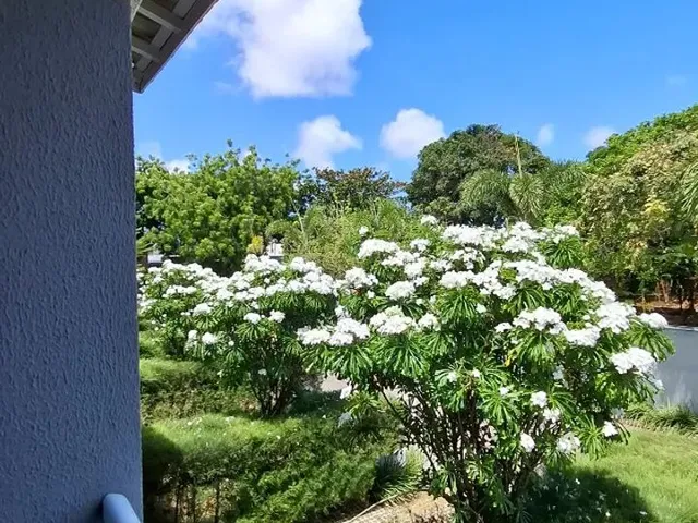 Imagem 13: Casa Mobiliada no Condomínio Reserva dos Pássaros