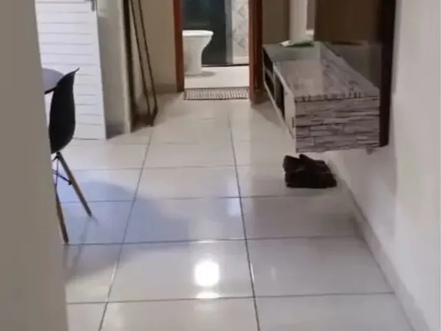 Imagem: Aluga-Se Casa