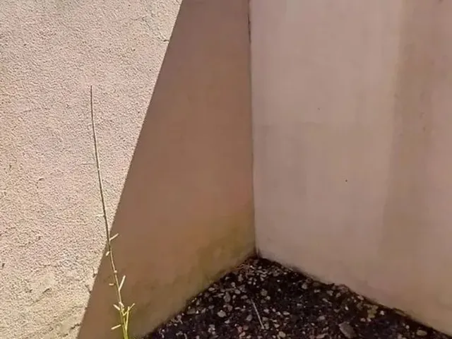 Imagem 13: Casa Residencial em Esteio - Rs, São José